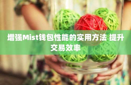 增强Mist钱包性能的实用方法 提升交易效率