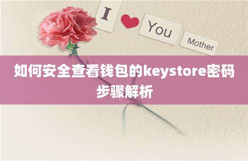 如何安全查看钱包的keystore密码步骤解析