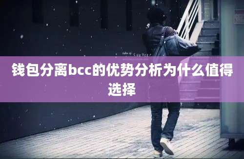 钱包分离bcc的优势分析为什么值得选择