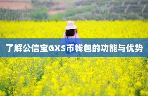 了解公信宝GXS币钱包的功能与优势