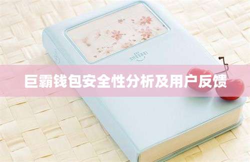 巨霸钱包安全性分析及用户反馈