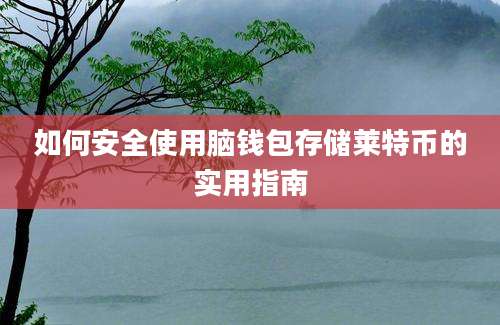 如何安全使用脑钱包存储莱特币的实用指南