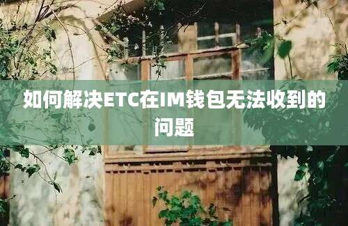 如何解决ETC在IM钱包无法收到的问题