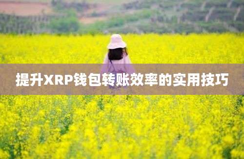 提升XRP钱包转账效率的实用技巧