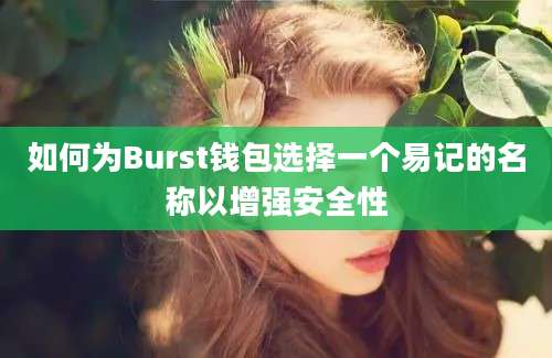 如何为Burst钱包选择一个易记的名称以增强安全性