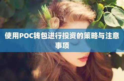 使用POC钱包进行投资的策略与注意事项